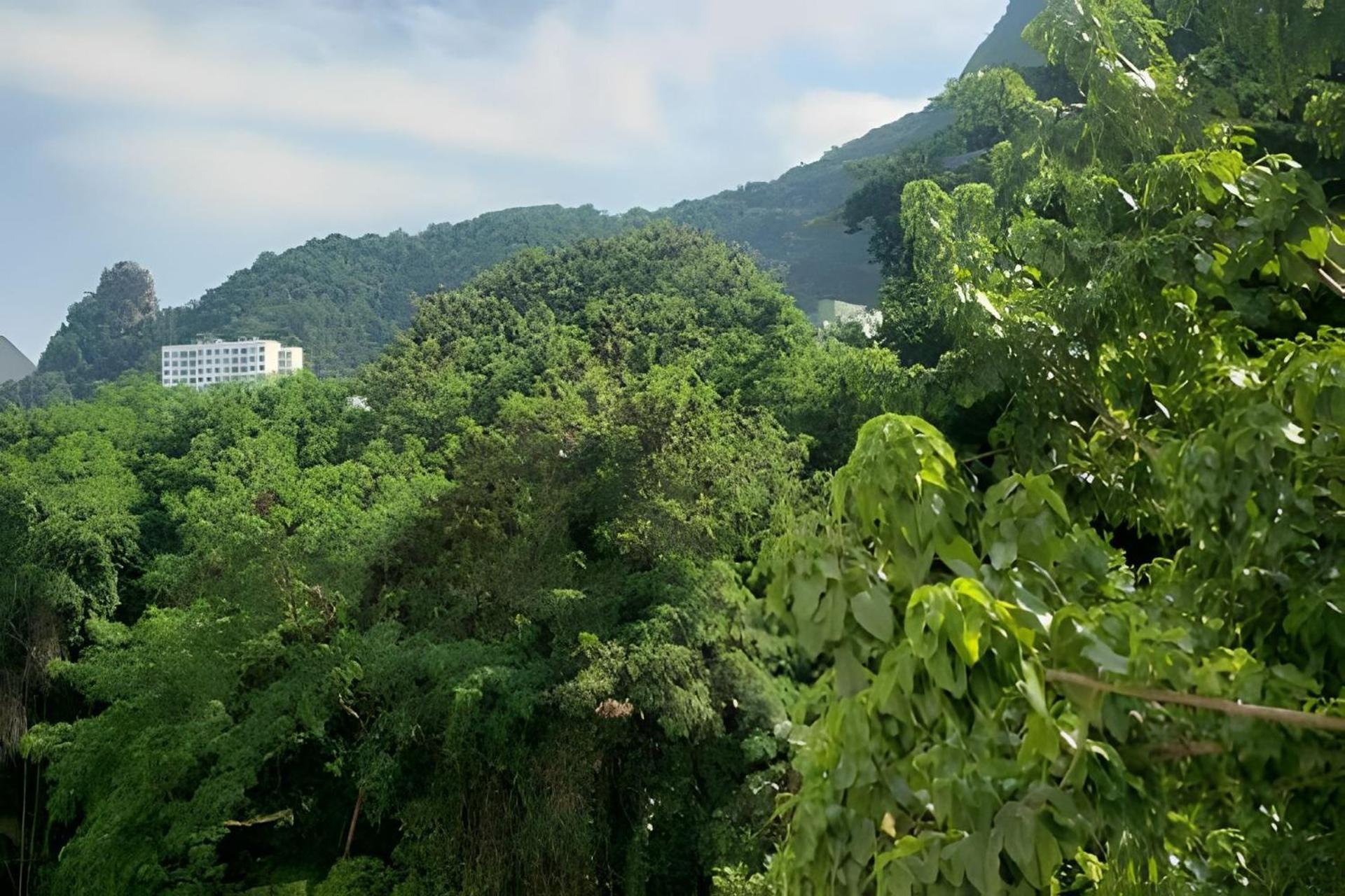 ריו דה ז'ניירו Copacabana Stays - A Sua Casa No Rio מראה חיצוני תמונה